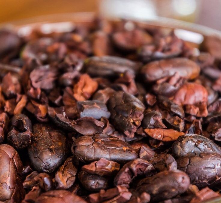 Cacao Paste & Cacao Powder: The Key Differences and Health Benefits