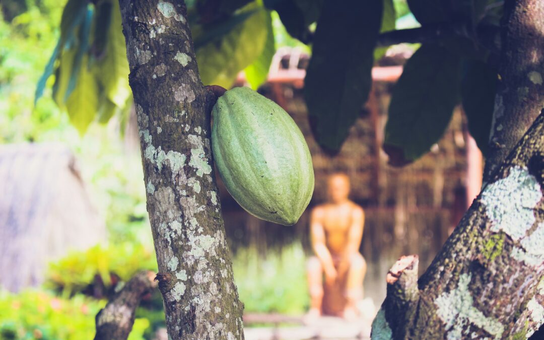 Sacred Cacao: Exploring the Spiritual Roots of Cacao in Costa Rica’s Indigenous Culture